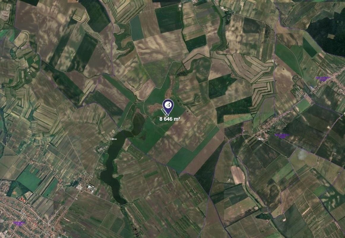Zemědělské pozemky, Čejkovice, 8 646 m² - 2