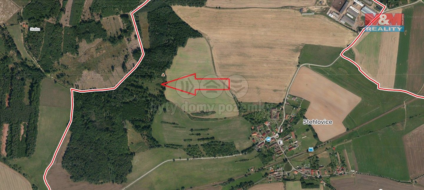 Les · Stehlovice, okres Písek, Jihočeský kraj - 3