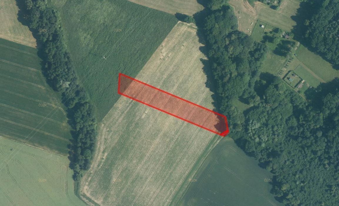 Prodej zemědělský pozemek - Závišice, 6 269 m²