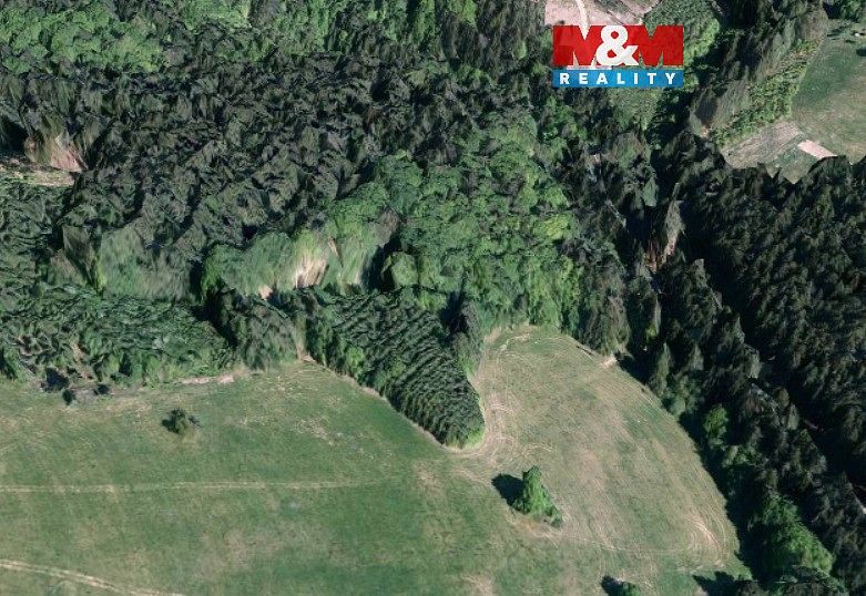 Lesy, Valašská Senice, okres Vsetín, Zlínský kraj