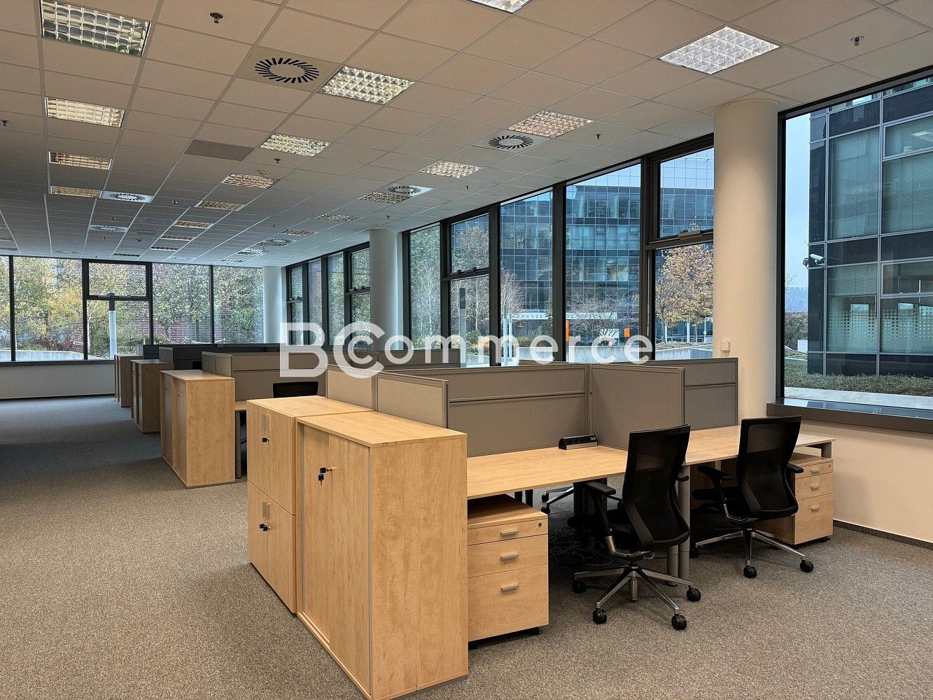 Kanceláře, Brno - Starý Lískovec, okres Brno-město, Jihomoravský kraj, 780 m² - 1