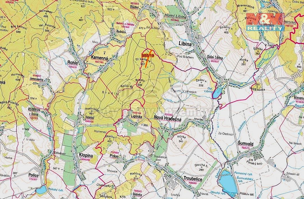 Les · Nová Hradečná, okres Olomouc, Olomoucký kraj - 2
