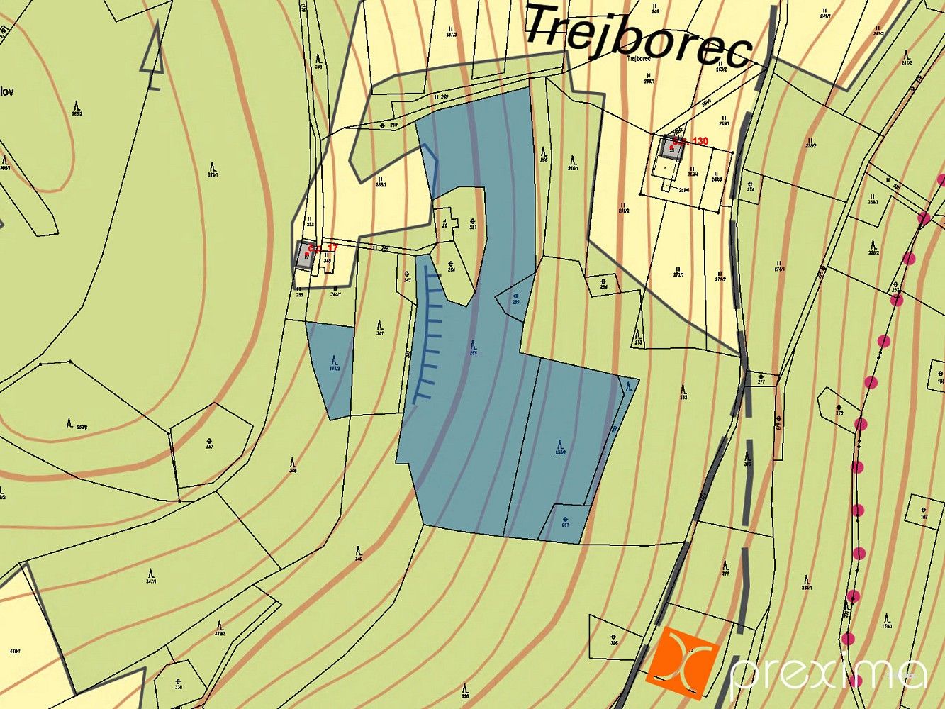 Les · Jablonec nad Jizerou, okres Semily, Liberecký kraj - 3