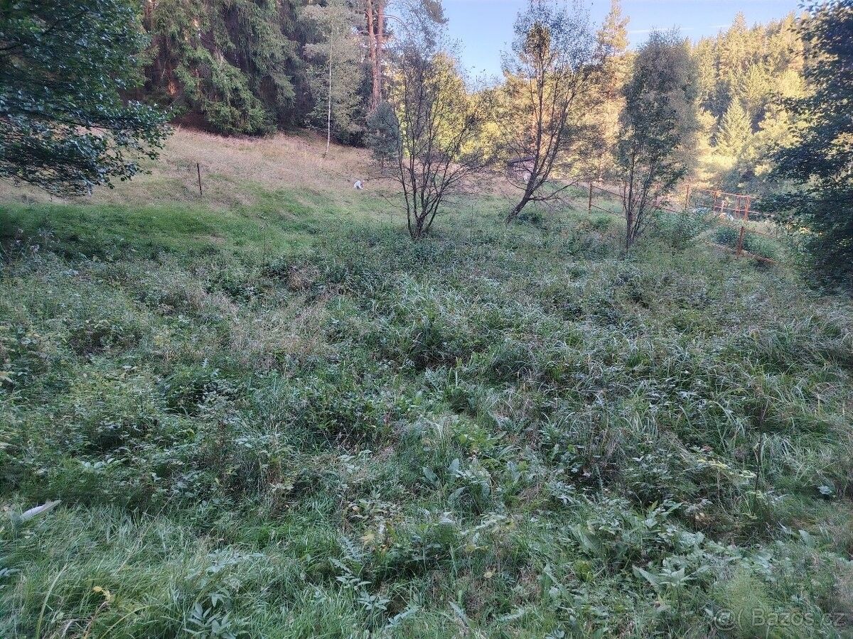 Prodej pozemek pro bydlení - Kraslice, 358 01