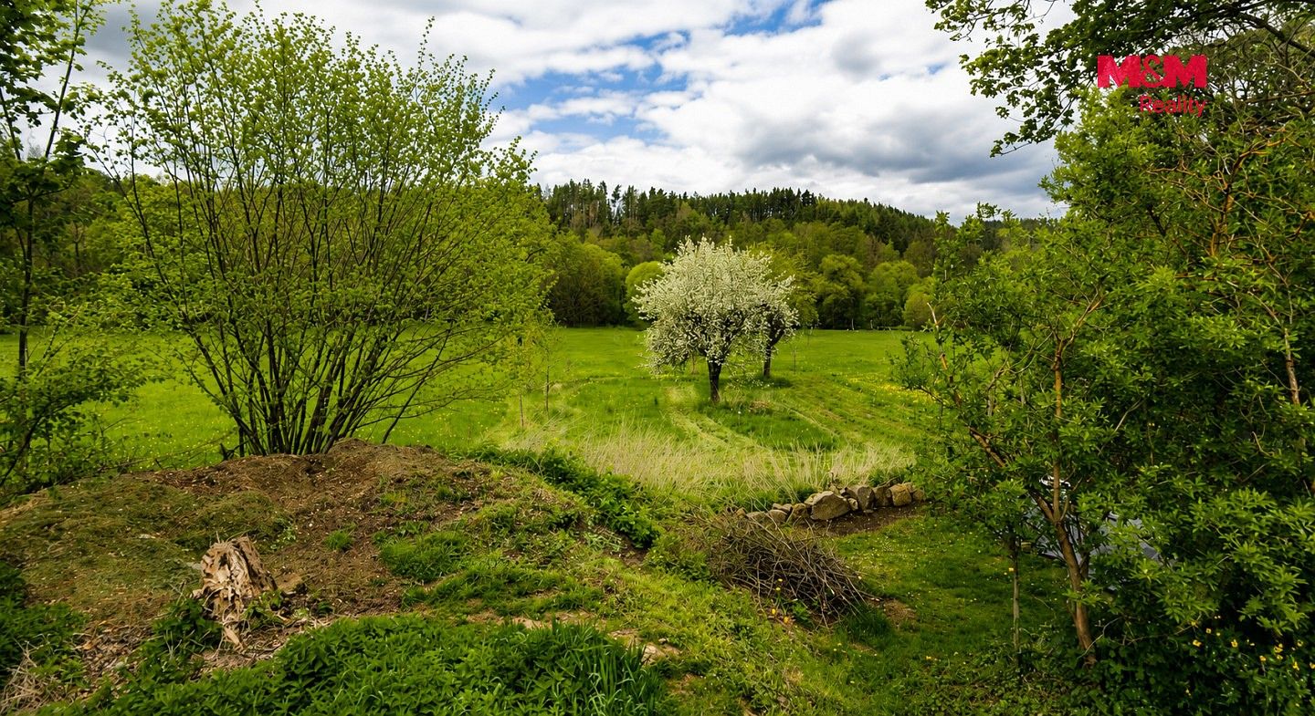 Louky, Kočov, okres Tachov, Plzeňský kraj - 2