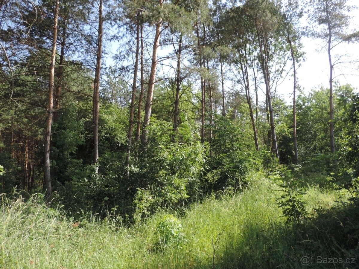 Lesy, Brodce nad Jizerou, 294 73, 293 m²