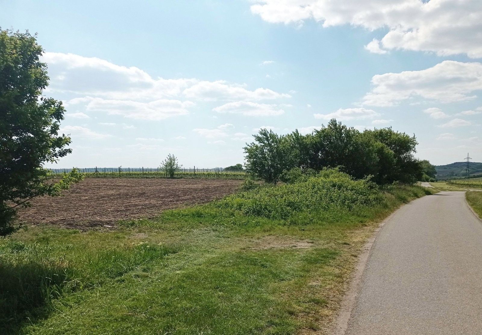 Prodej pozemek - Sedlec, 21 196 m² - 5