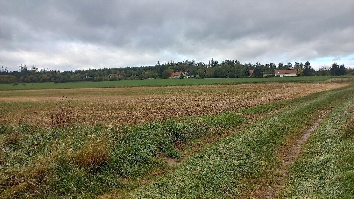 Prodej pozemek pro bydlení - Sázava, 285 06