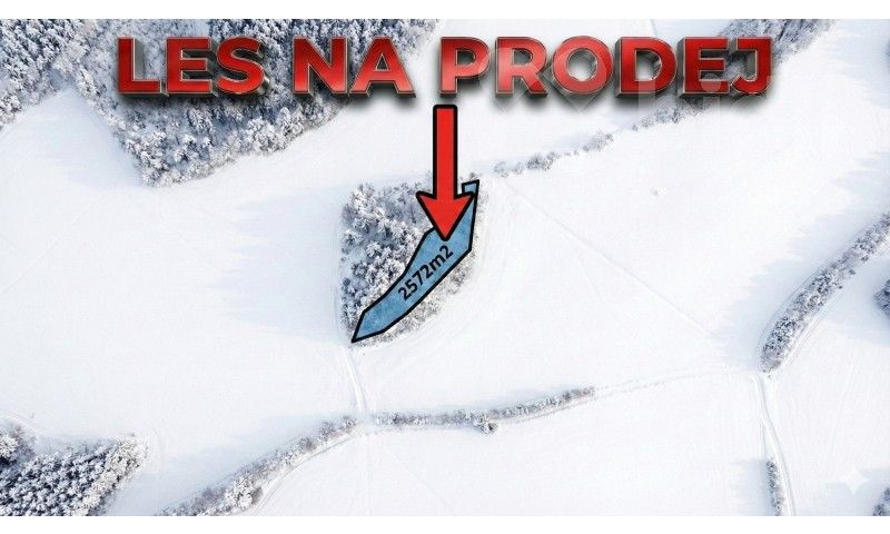 Lesy, Bohdalovice, Velké Hamry