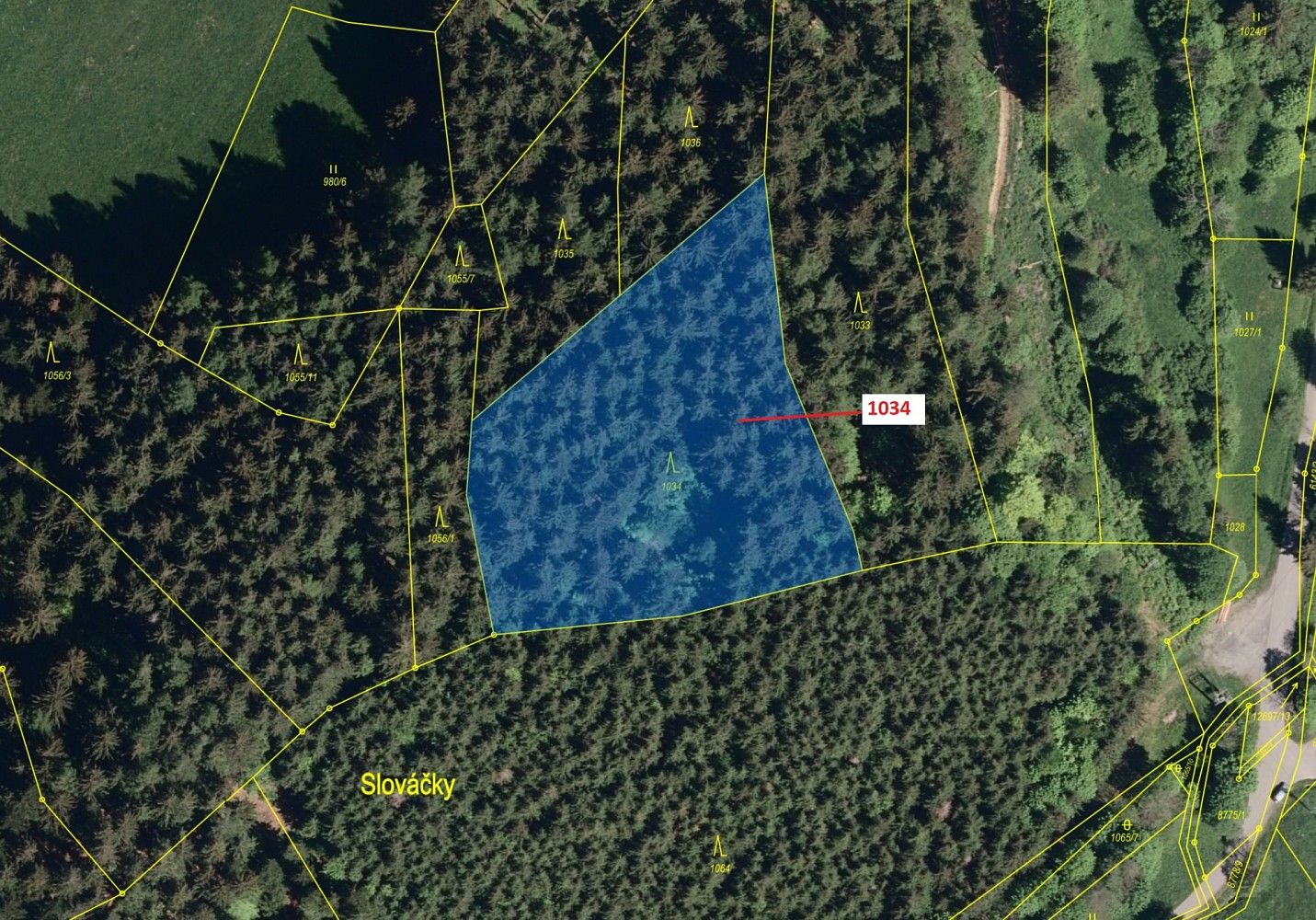 Prodej les - Nový Hrozenkov, okres Vsetín, Zlínský kraj - 2