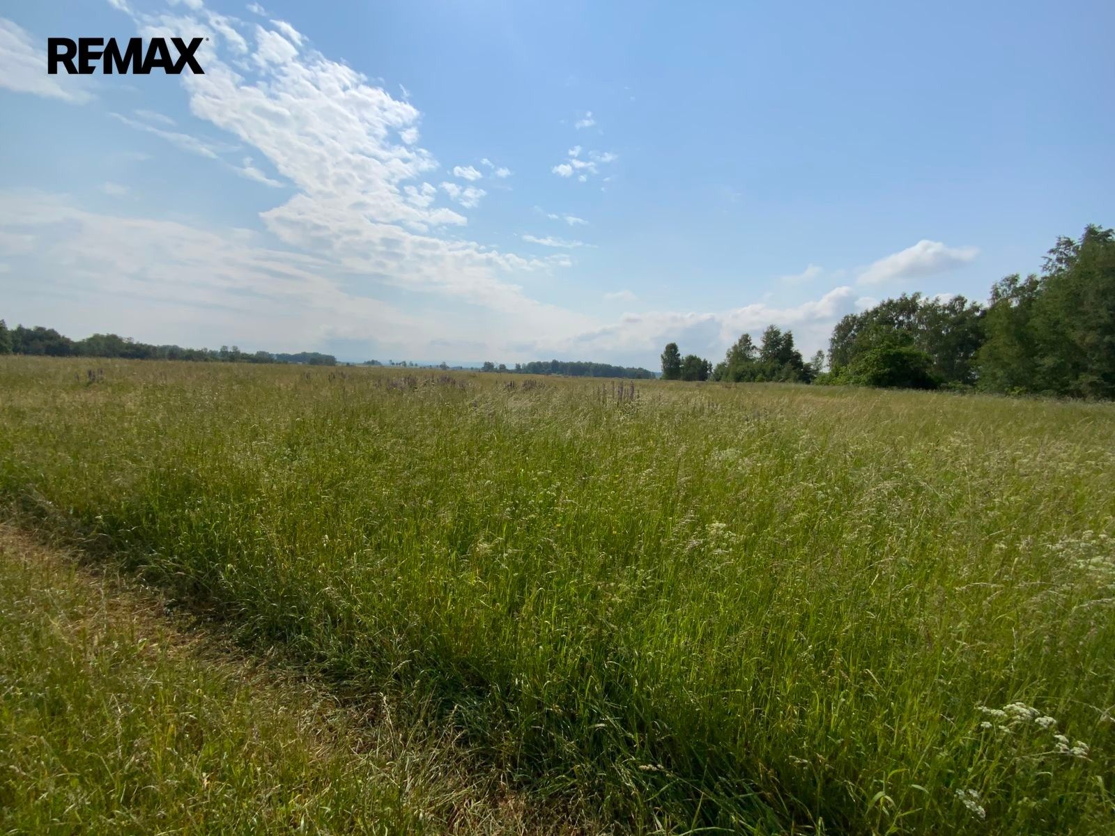 Louky, Skalná, 107 498 m² - 2