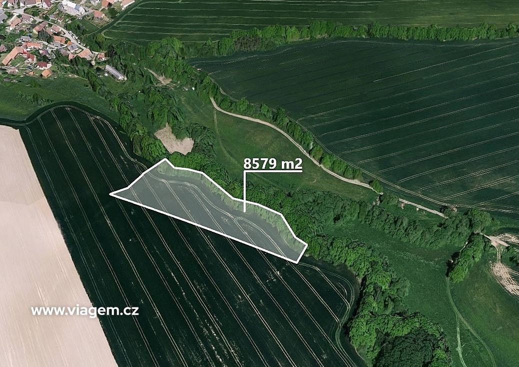 Zemědělské pozemky, Petroupim, okres Benešov - 1