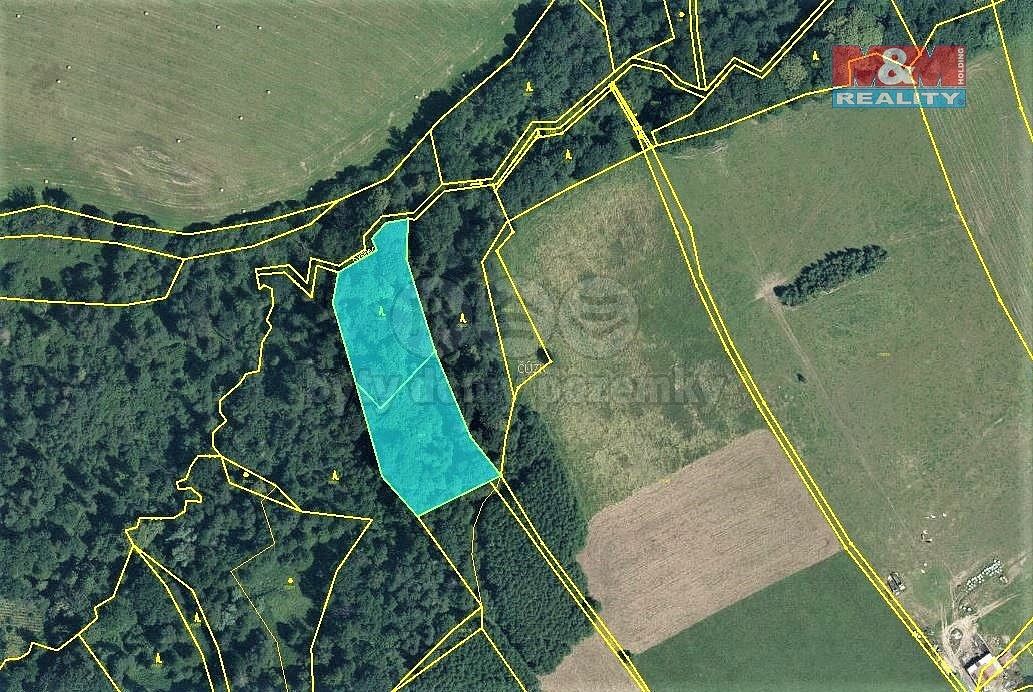 Prodej les - Český Těšín, okres Karviná, Moravskoslezský kraj - 5