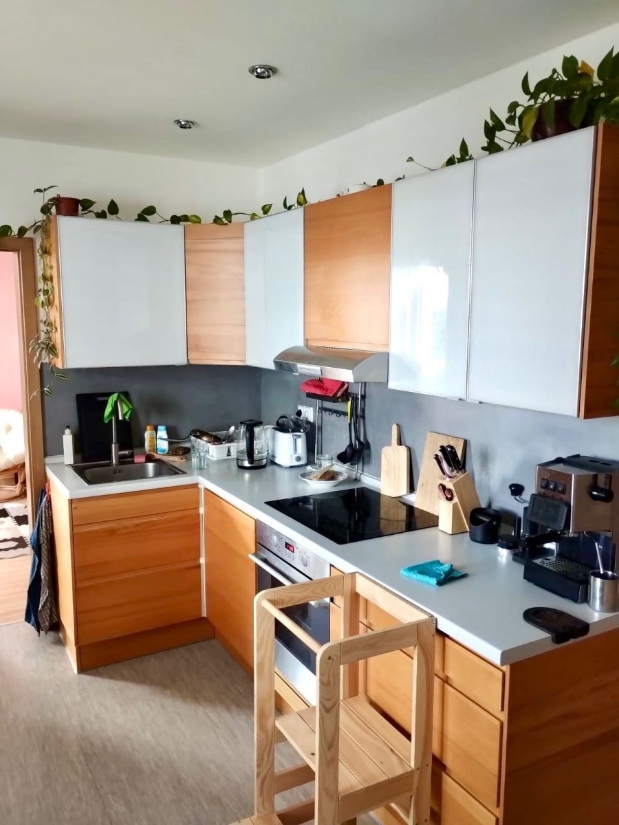3+1, Dlouhá, České Budějovice - České Budějovice 2, Jihočeský kraj, 73 m² - 2
