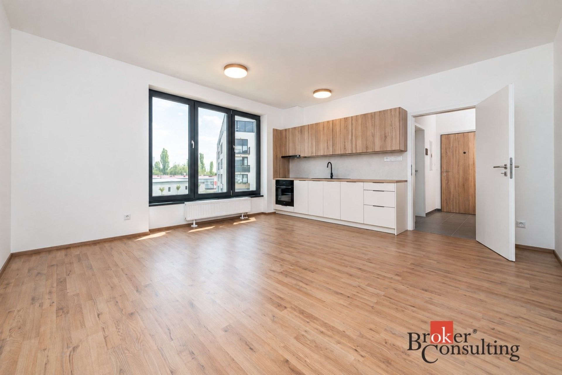 1+kk, Železná,Plzeň 3,Plzeň, 38 m² - 2