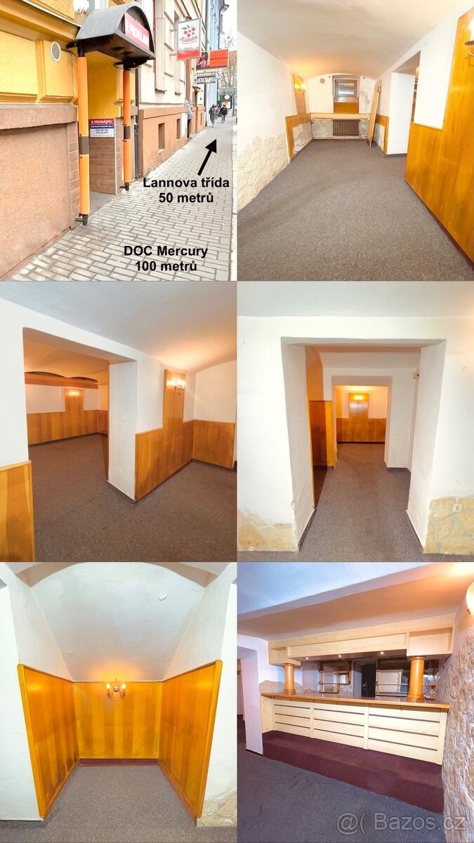 Obchodní prostory, České Budějovice, 370 01