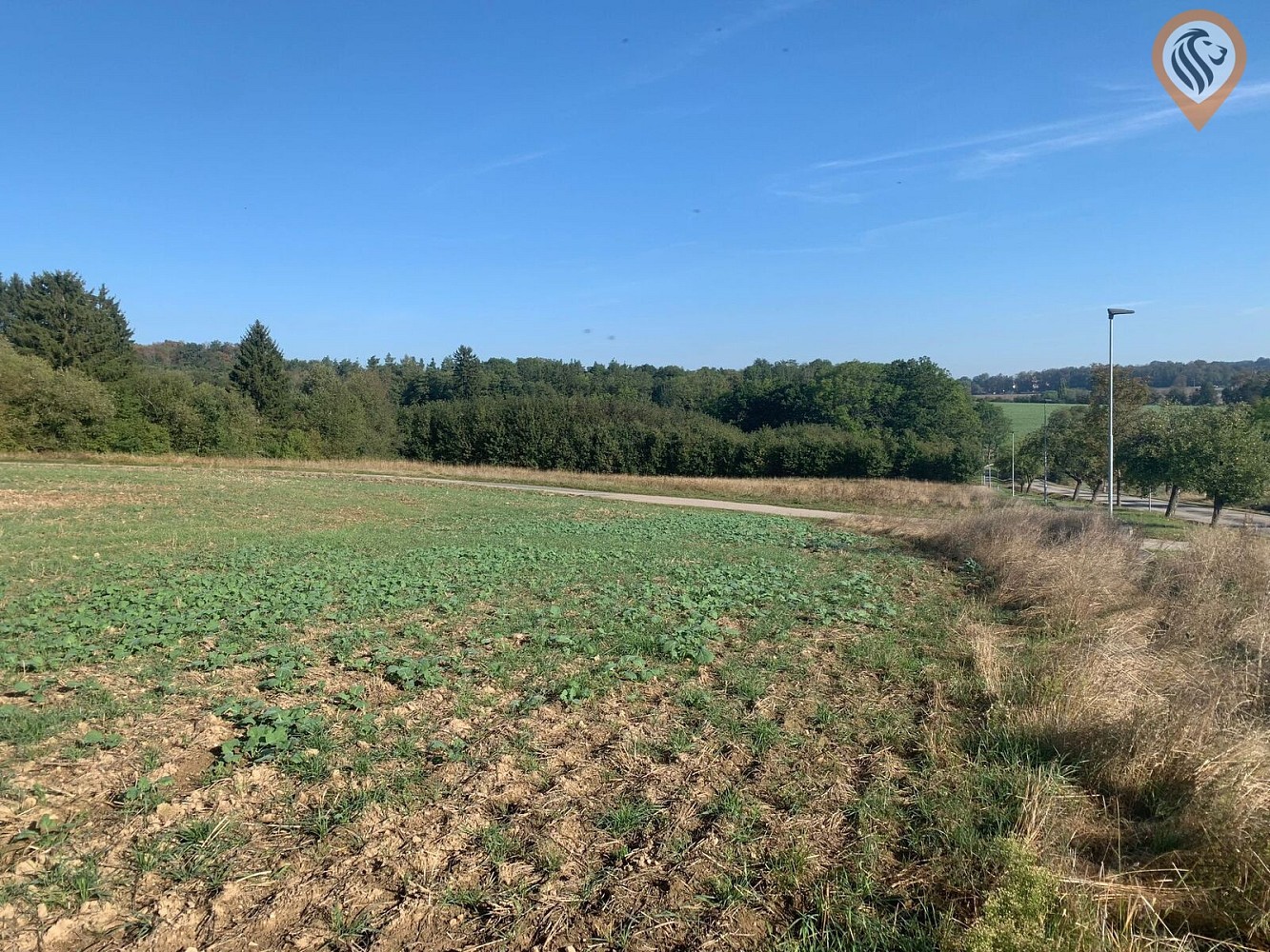 Pozemek pro bydlení, 9 675 m²