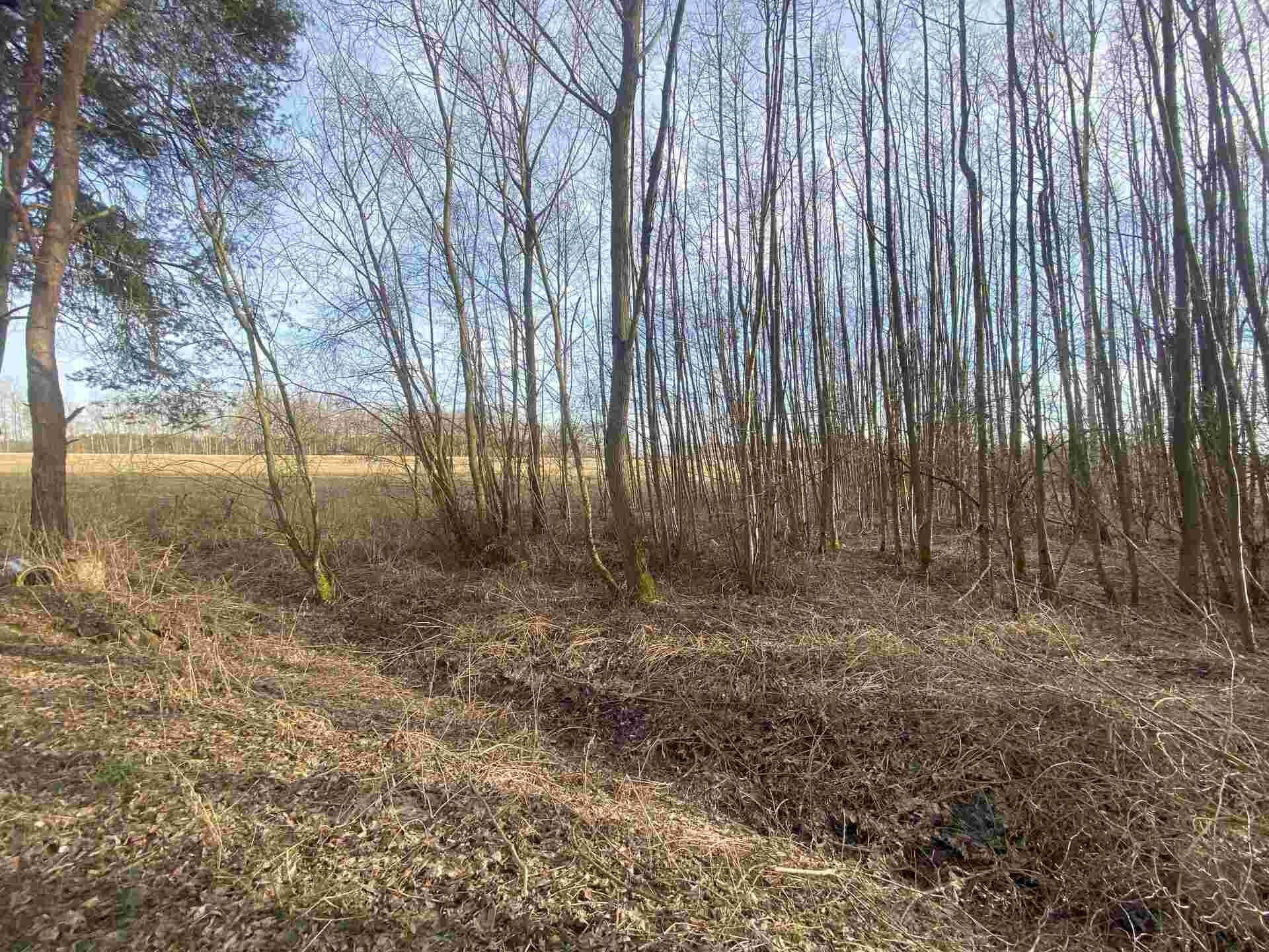 Prodej pozemek - Trstěnice, 1 m²