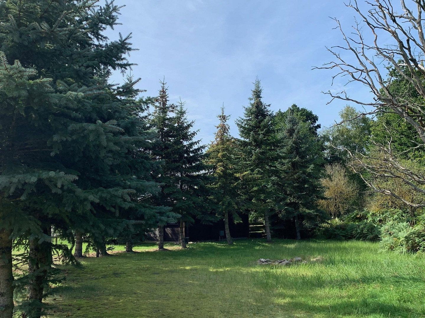 Prodej chata - , Mecklenburg-Vorpommern, 400 m² - 5