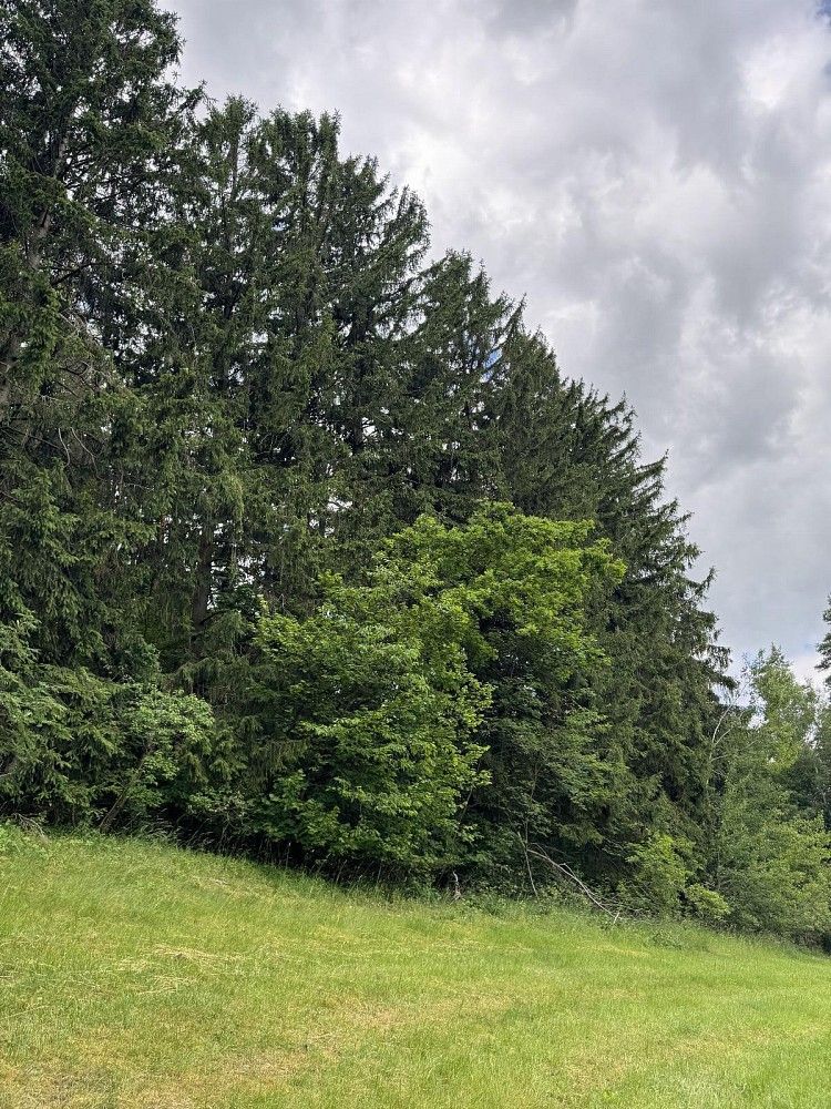Pozemek, 19 364 m²