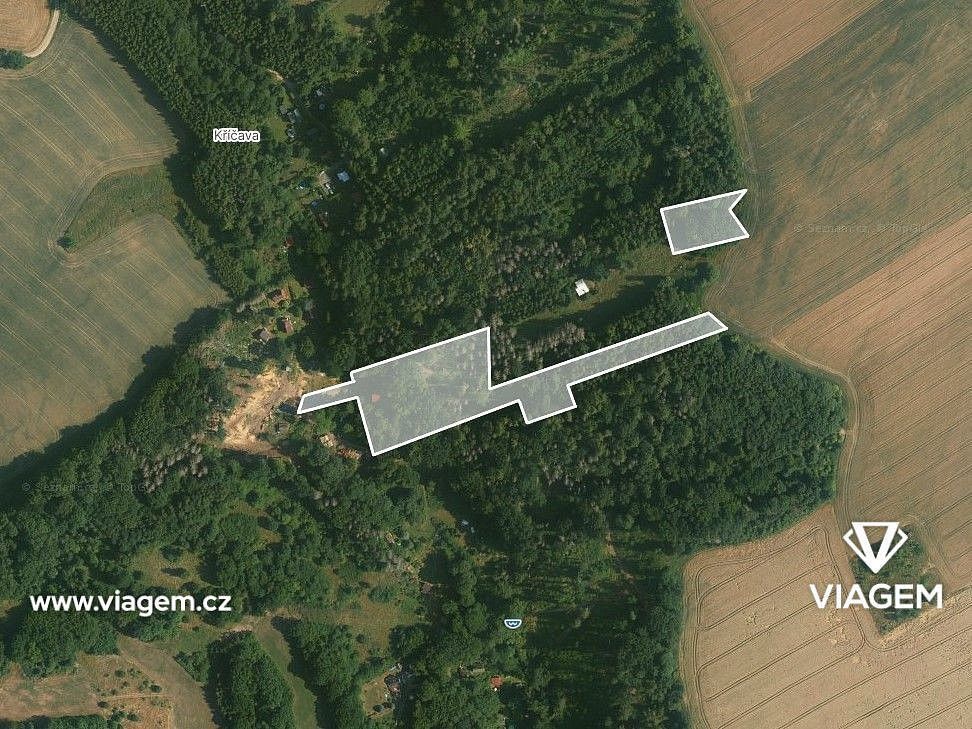 Les · Ondřejov, okres Praha-východ, Středočeský kraj - 3