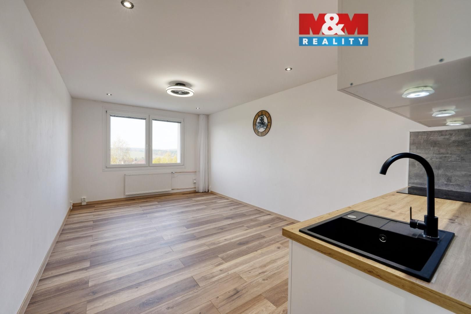 1+kk, U Vrbky, Horní Bříza, 25 m²