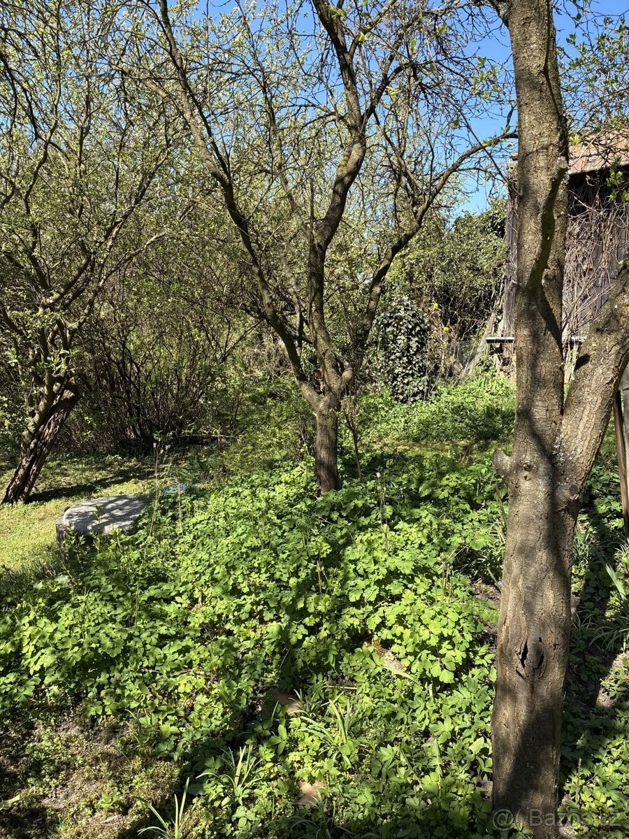Prodej rodinný dům - Knínice, 679 34 - 5
