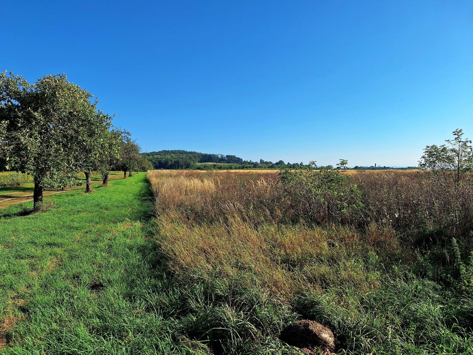 Prodej zemědělský pozemek - Sychrov, Mnichovo Hradiště, 140 145 m² - 5