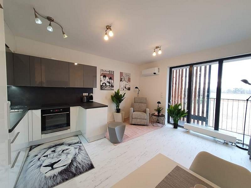 Pronájem byt 2+kk - Věry Pánkové, Olomouc - Nové Sady, 43,8 m² - 2