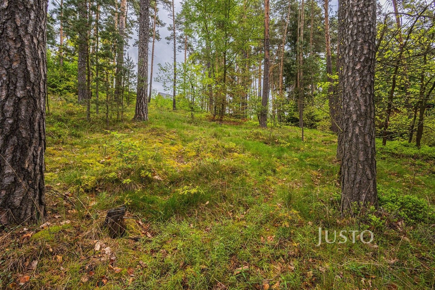 Pozemek pro bydlení · Hamr na Jezeře, okres Česká Lípa, Liberecký kraj - 4