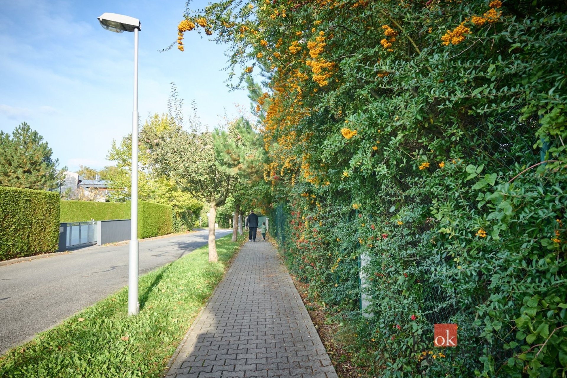 Pozemek pro bydlení · 938 m² · Podlázky, Mladá Boleslav - 4