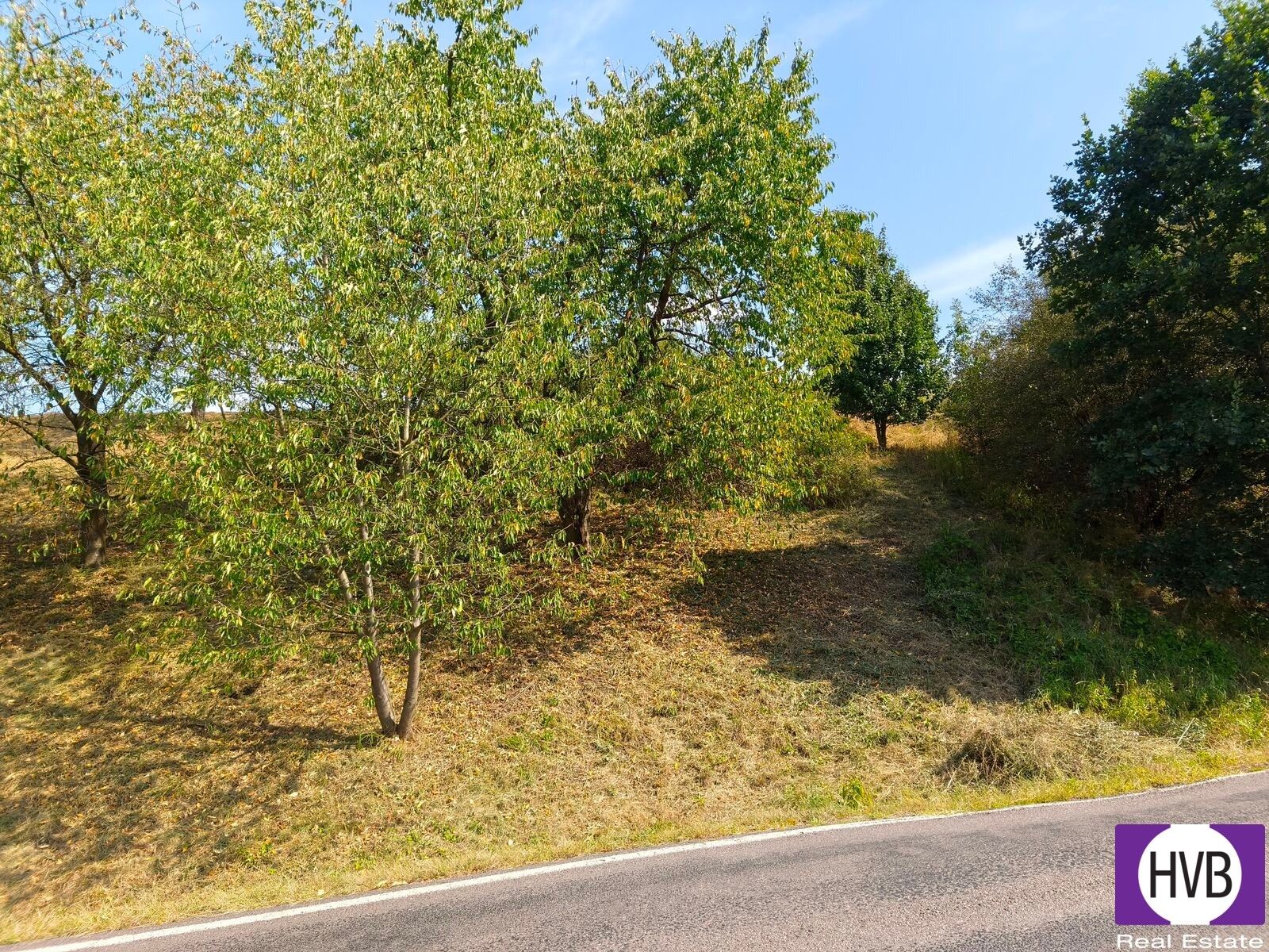 Ostatní, Synkov-Slemeno, 1 229 m² - 1