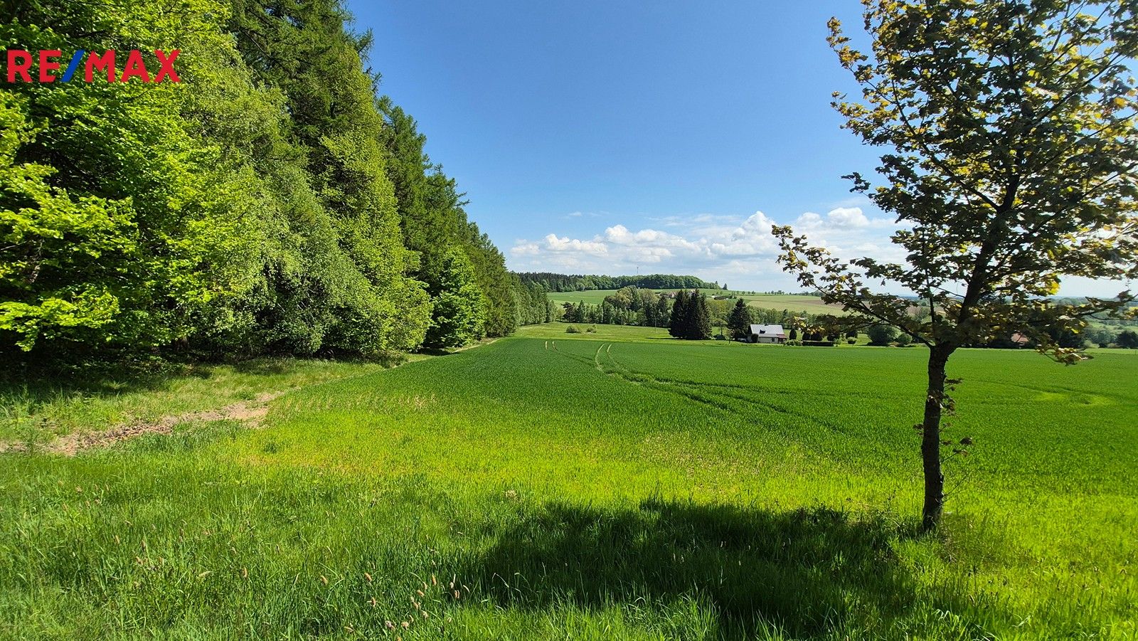 Pozemky pro bydlení, Borová, 5 m²