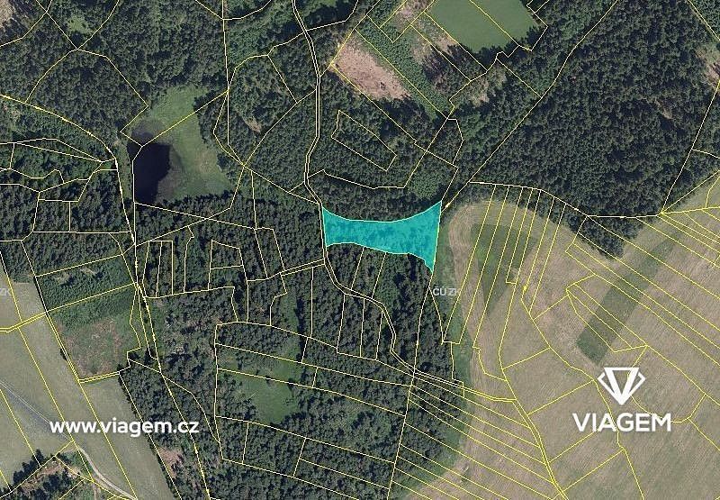 Les · Studnice, okres Chrudim, Pardubický kraj - 3