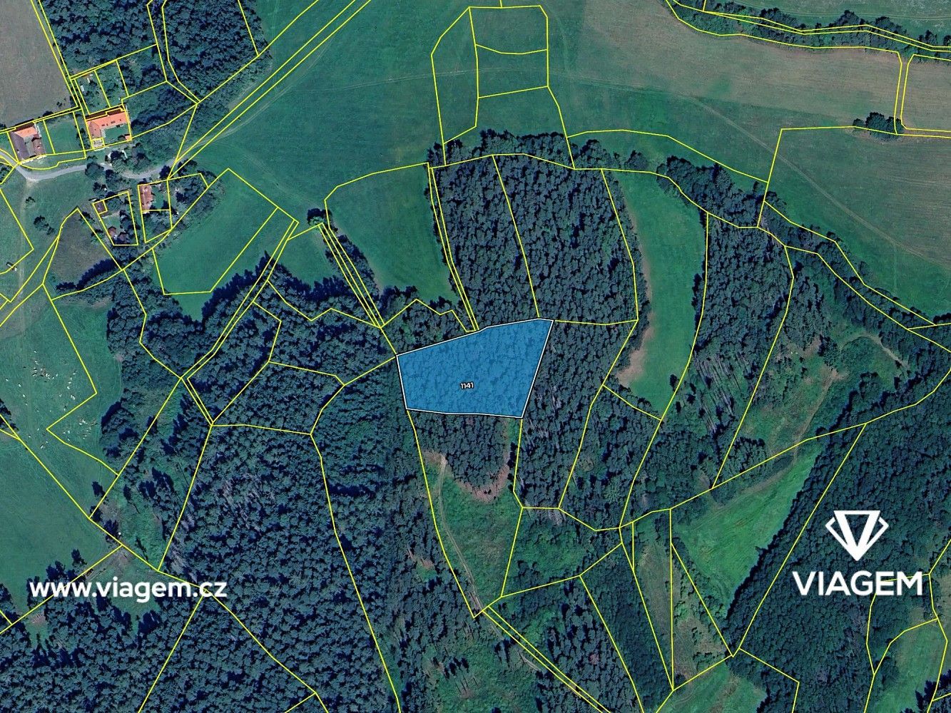 Les · Volyně, okres Strakonice, Jihočeský kraj - 4