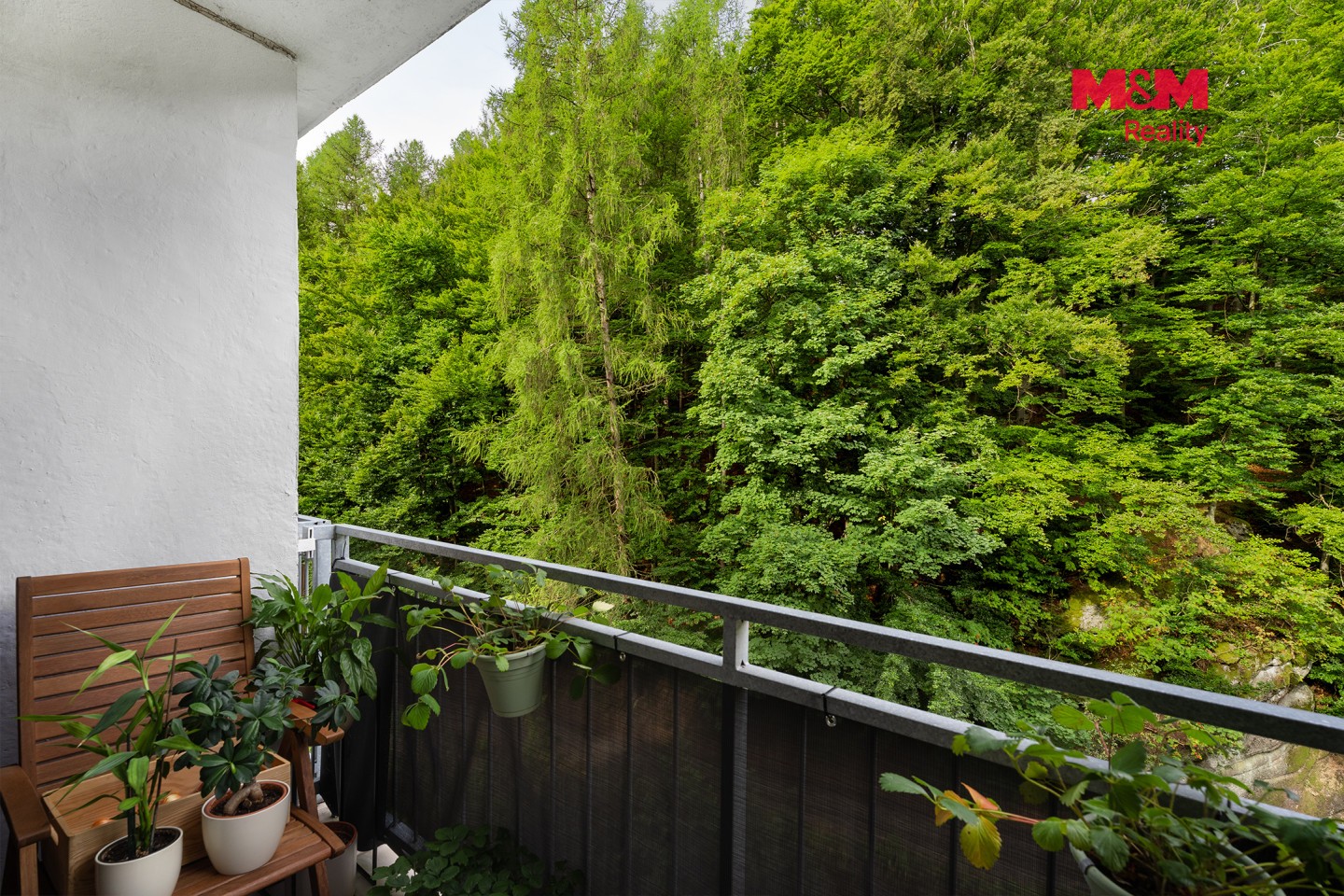 Prodej byt 2+1 - Krátká, Desná, 55 m² - 5