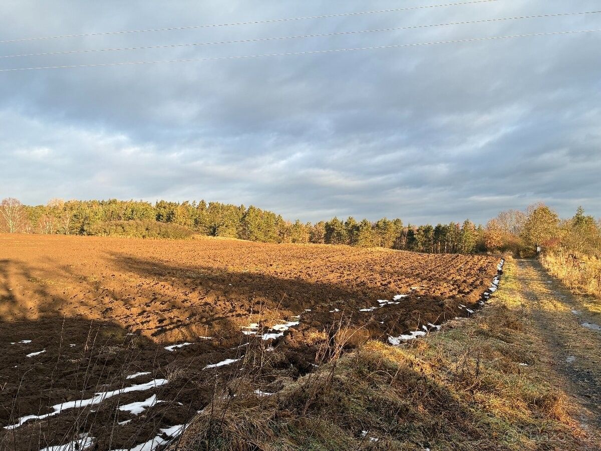 Prodej pozemek pro bydlení - Orlík nad Vltavou, 398 07