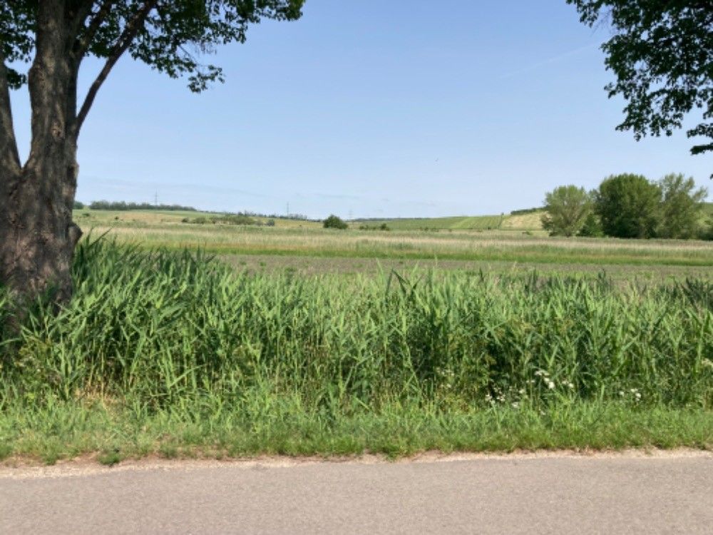 Pozemky pro bydlení, 691 68, Břeclav