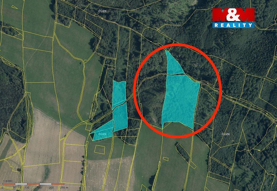 Prodej les - Horní Studénky, okres Šumperk, Olomoucký kraj - 2
