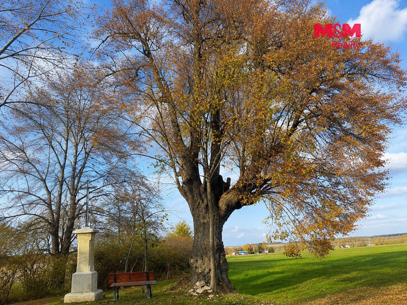 Prodej zahrada - Kořenice - Pučery, okres Kolín, Středočeský kraj - 2