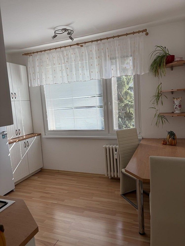 Pronájem byt 1+1 - Náchodská, Trutnov - Dolní Předměstí, 36 m² - 5