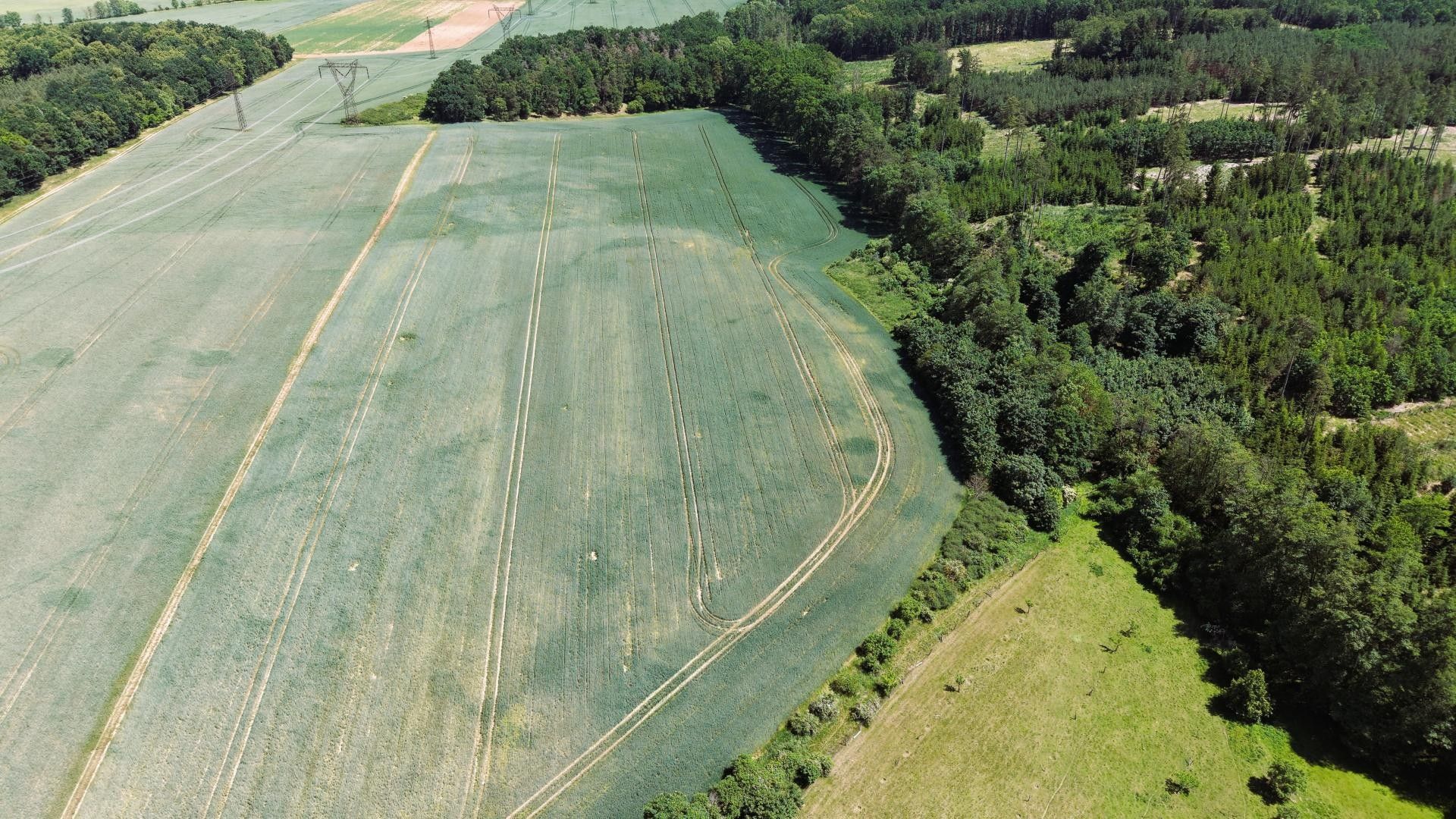 Zemědělský pozemek · 18 109 m² · Valeč - 3