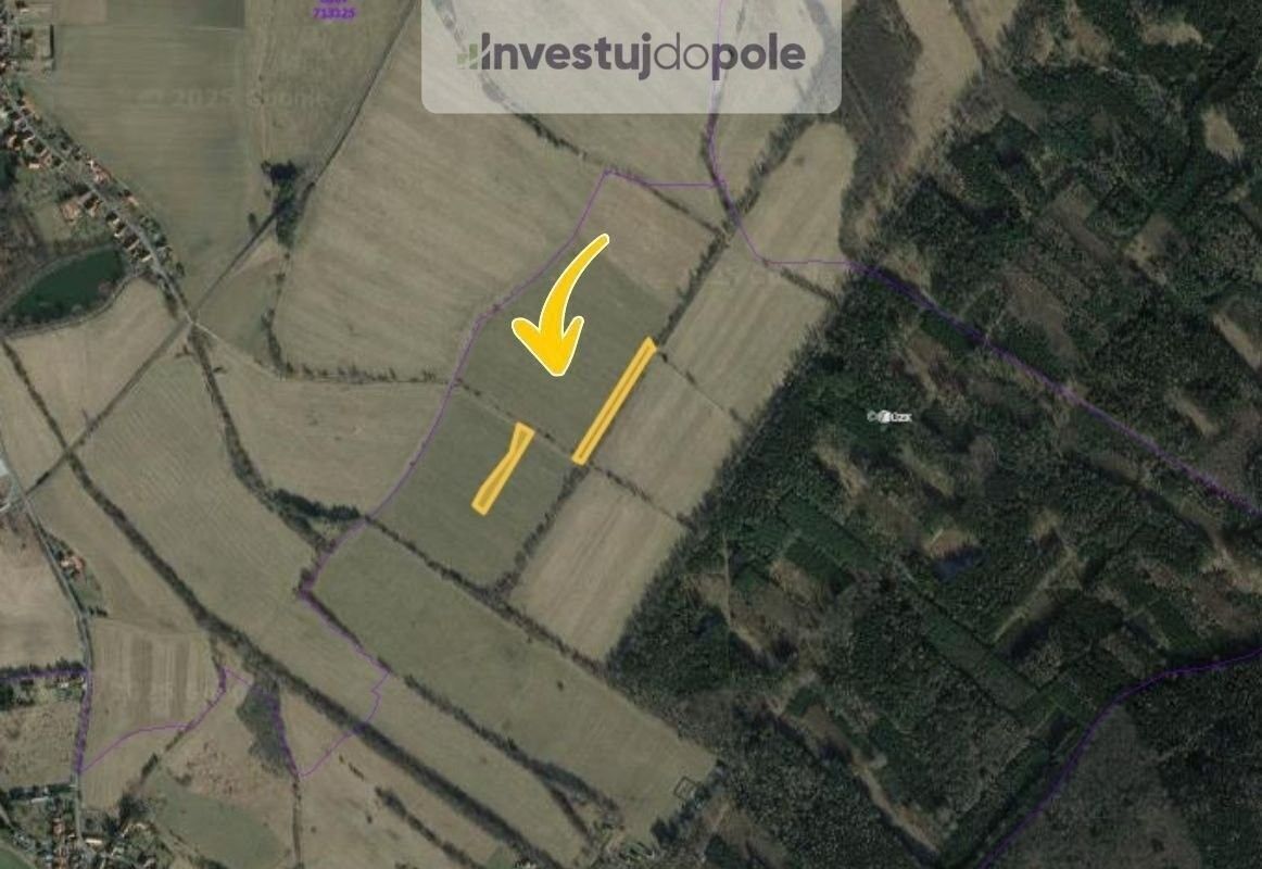 Prodej zemědělský pozemek - Velký Chlumec, 2 915 m²