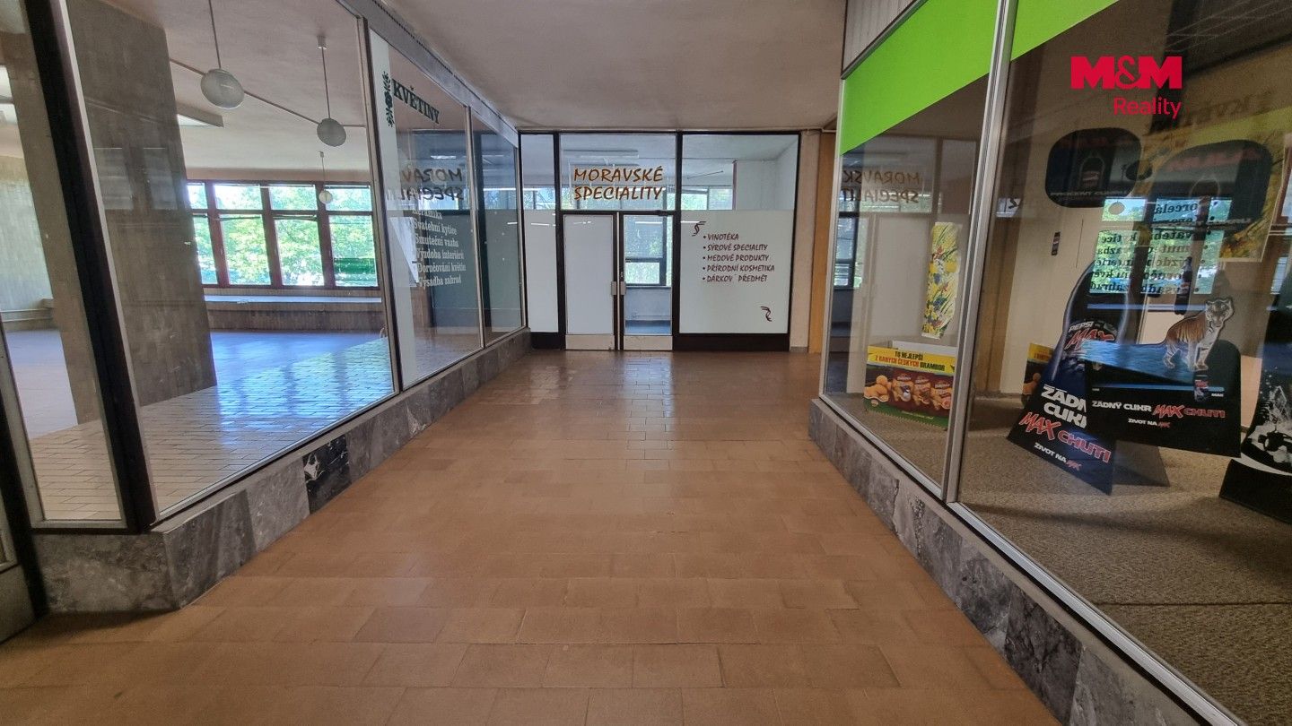 Kanceláře, F. S. Tůmy, Orlová, 21 m² - 2