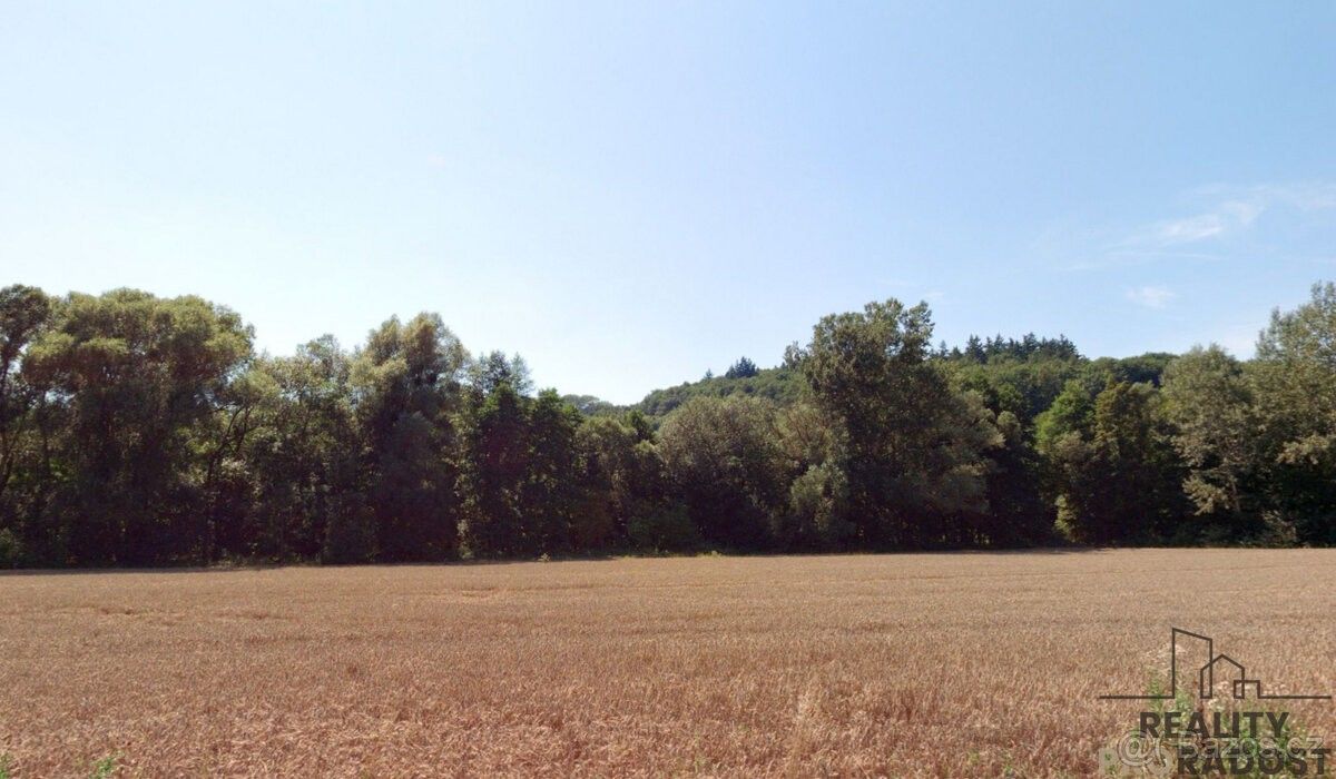 Pozemky pro bydlení, Traplice, 687 04