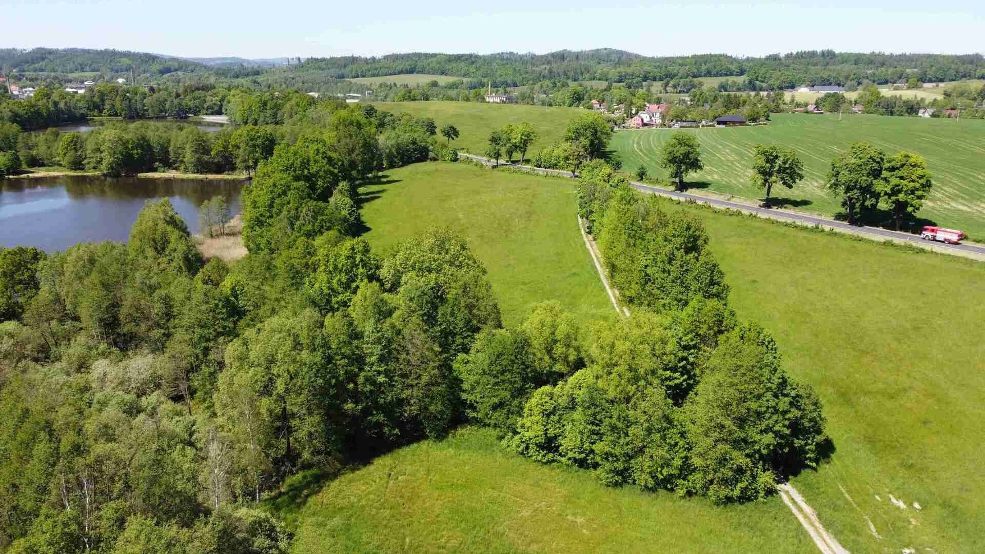 Zemědělský pozemek · 1 989 m² · Šluknov - 4