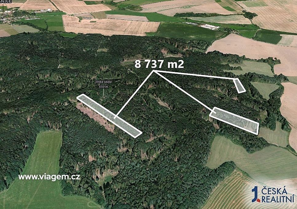 Prodej les - Všepadly, okres Domažlice, Plzeňský kraj - 2