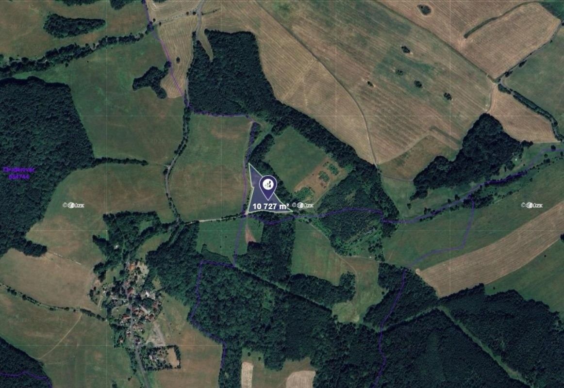 Prodej pozemek - Velké Chvojno, 10 727 m²