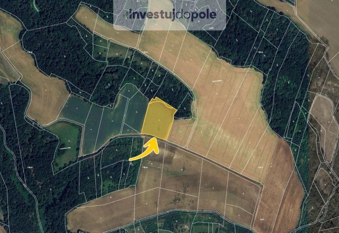 Prodej louka - Strážnice, Vysoká