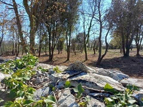 Pozemek pro bydlení · Marčana, HR - 4